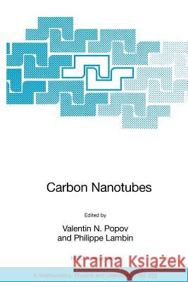 Carbon Nanotubes: From Basic Research to Nanotechnology V. N. Popov Valentin N. Popov Philippe Lambin 9781402045738 Springer