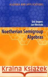 Noetherian Semigroup Algebras Eric Jespers Jan Okninski 9781402058097 KLUWER ACADEMIC PUBLISHERS GROUP