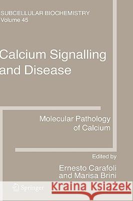 Calcium Signalling and Disease: Molecular Pathology of Calcium Carafoli, Ernesto 9781402061905 Springer London