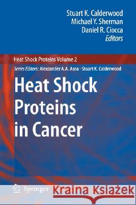 Heat Shock Proteins in Cancer Michael Y. Sherman Daniel R. Ciocca 9781402064005