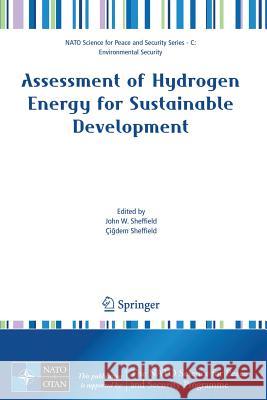 Assessment of Hydrogen Energy for Sustainable Development ??Igdem Sheffield John W. Sheffield Cigdem Sheffield 9781402064418 Springer