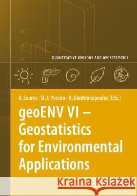 Geoenv VI - Geostatistics for Environmental Applications Soares, Amílcar 9781402064470 Springer