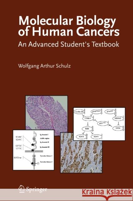 Molecular Biology of Human Cancers: An Advanced Student's Textbook Schulz, Wolfgang Arthur 9781402065590