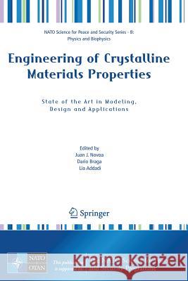 Engineering of Crystalline Materials Properties: State of the Art in Modeling, Design and Applications Novoa, Juan J. 9781402068249 Springer