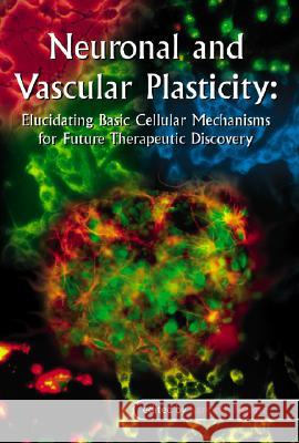 Neuronal and Vascular Plasticity: Elucidating Basic Cellular Mechanisms for Future Therapeutic Discovery Maiese, Kenneth 9781402074004 Kluwer Academic Publishers