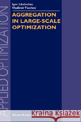 Aggregation in Large-Scale Optimization Igor Litvinchev Vladimir Tsurkov I. S. Litvinchev 9781402075971