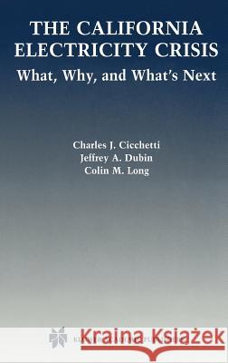 The California Electricity Crisis: What, Why, and What's Next Cicchetti, Charles J. 9781402076923 Kluwer Academic Publishers