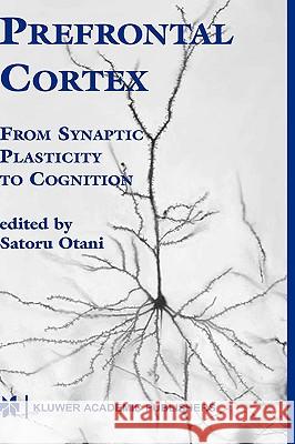 Prefrontal Cortex: From Synaptic Plasticity to Cognition Otani, Satoru 9781402077661