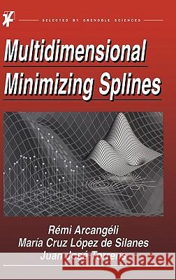 Multidimensional Minimizing Splines: Theory and Applications Arcangéli, R. 9781402077869 Kluwer Academic Publishers