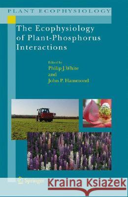 The Ecophysiology of Plant-Phosphorus Interactions Philip J. White John P. Hammond 9781402084348 Not Avail