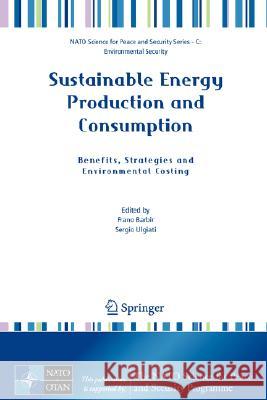 Sustainable Energy Production and Consumption: Benefits, Strategies and Environmental Costing Barbir, Frano 9781402084928