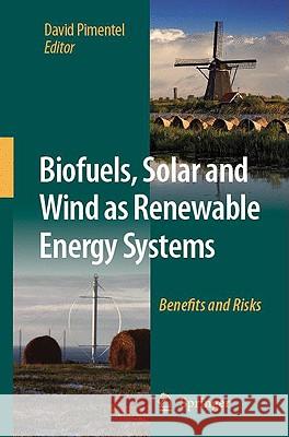 Biofuels, Solar and Wind as Renewable Energy Systems: Benefits and Risks Pimentel, D. 9781402086533 Springer