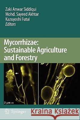 Mycorrhizae: Sustainable Agriculture and Forestry Zaki Anwar Siddiqui Mohd Sayeed Akhtar Kazuyoshi Futai 9781402087691 Springer