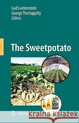 The Sweetpotato Gad Loebenstein George Thottappilly 9781402094743 Springer