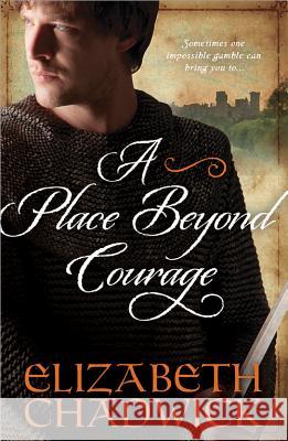 A Place Beyond Courage  9781402271083 Sourcebooks Landmark