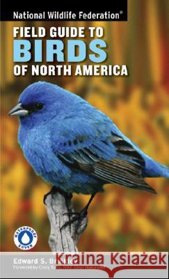 National Wildlife Federation Field Guide to Birds of North America Edward S. Brinkley VIREO                                    Craig Tufts 9781402738746 Sterling