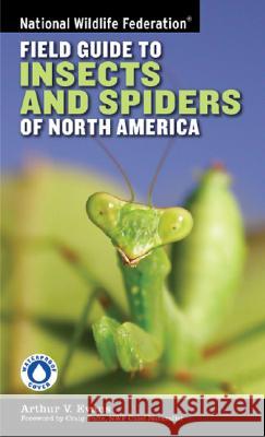 National Wildlife Federation Field Guide to Insects and Spiders & Related Species of North America Arthur V. Evans Craig Tufts 9781402741531 Sterling Publishing