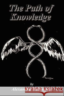 The Path of Knowledge Alexandra Wellington 9781403335135