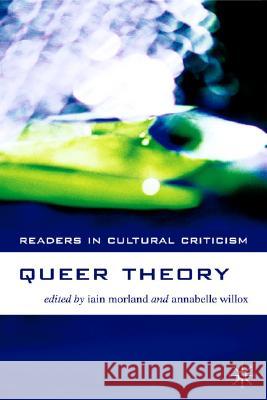 Queer Theory Iain Morland Annabelle Willox 9781403916945