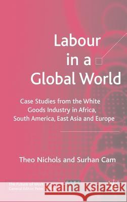 Labour in a Global World: Case Studies from the White Goods Industry in Africa, South America, East Asia and Europe Nichols, T. 9781403939791 PALGRAVE MACMILLAN