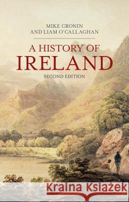 A History of Ireland Mike Cronin Jeremy Black 9781403948298 Palgrave MacMillan