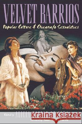 Velvet Barrios: Popular Culture and Chicana/O Sexualities Gasper De Alba, Alicia 9781403960962 Palgrave MacMillan