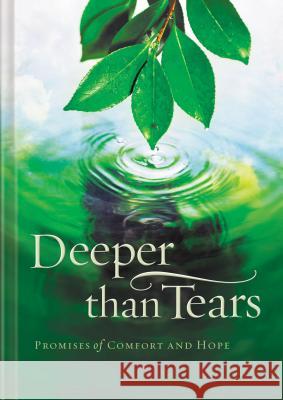 Deeper Than Tears: Promises of Comfort and Hope Terri Gibbs 9781404104662 Thomas Nelson Publishers