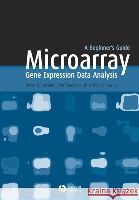 Microarray Gene Expression Data Analysis: A Beginner's Guide Causton, Helen 9781405106825 Blackwell Publishers