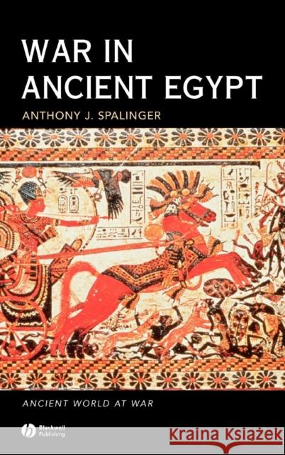 War in Ancient Egypt: The New Kingdom Spalinger, Anthony J. 9781405113717