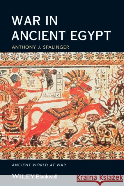 War in Ancient Egypt: The New Kingdom Spalinger, Anthony J. 9781405113724