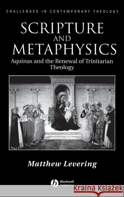Scripture and Metaphysics Levering, Matthew 9781405117333