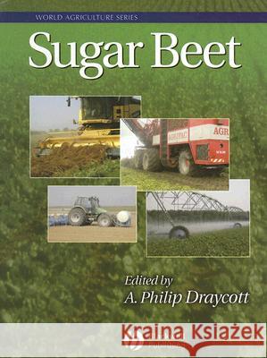 Sugar Beet A. Philip Draycott 9781405119115 Blackwell Publishers