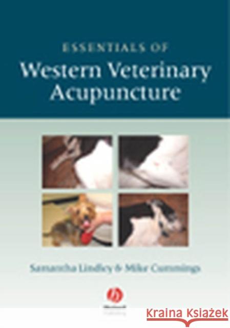 Essentials Western Vet Acupuncture Lindley, Samantha 9781405129909 Blackwell Publishers