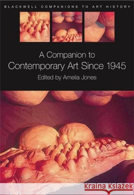 A Companion to Contemporary Art Since 1945 Amelia Jones 9781405135429