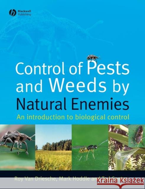 Control of Pests and Weeds by Natural Enemies: An Introduction to Biological Control Van Driesche, Roy 9781405145718 Blackwell Publishers