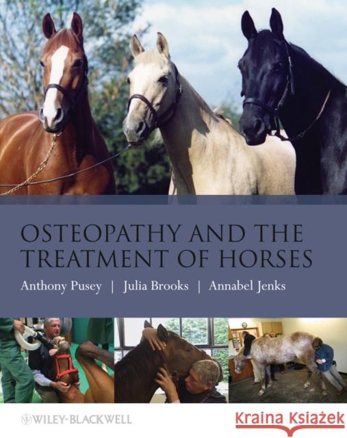 Osteopathy Treatment Horses Pusey, Anthony 9781405169523