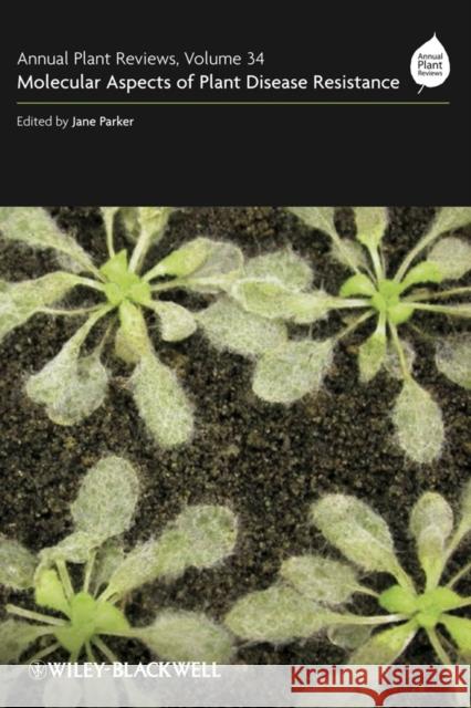 Annual Plant Reviews, Molecular Aspects of Plant Disease Resistance Parker, Jane 9781405175326 Blackwell Publishers