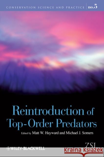 Reintroduction of Top-Order Predators Matt W Hayward 9781405176804 WILEYBLACKWELL