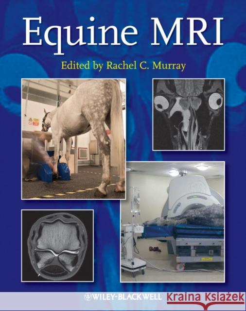 Equine MRI Rachel Murray 9781405183048 John Wiley & Sons