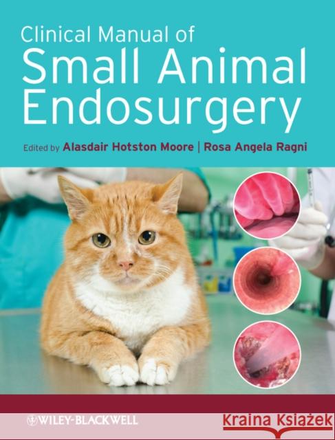 Clinical Manual of Small Animal Endosurgery Alasdair Hotsto Rosa Angela Ragni 9781405190015 Wiley-Blackwell