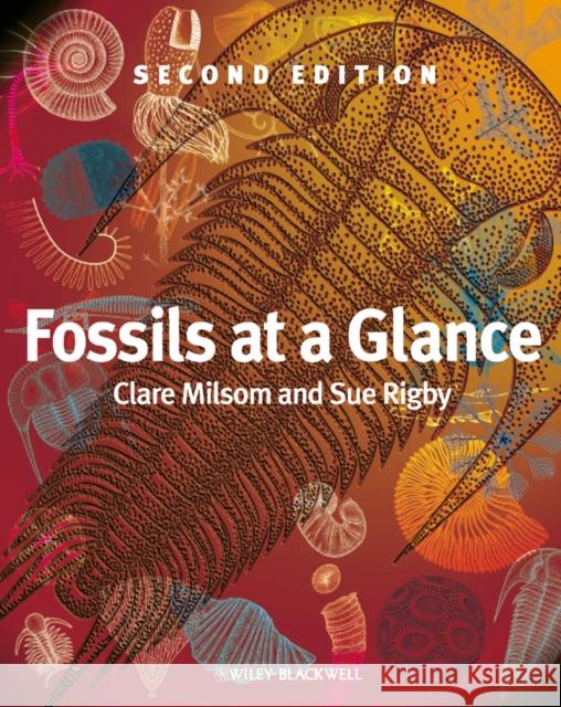 Fossils at a Glance Clare Milsom 9781405193368