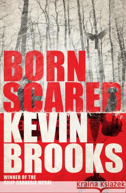 Born Scared Brooks, Kevin 9781405276191