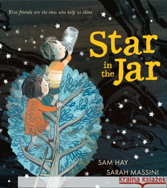 Star in the Jar Hay, Sam 9781405284301 HarperCollins Publishers