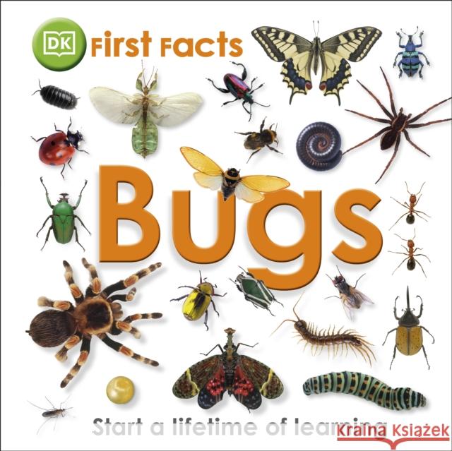 First Facts Bugs   9781405368131 Dorling Kindersley Ltd