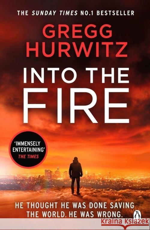 Into the Fire Hurwitz Gregg 9781405929929 Penguin