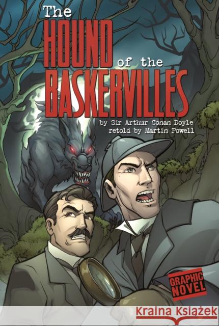 Hound of the Baskervilles Donald Lemke 9781406213584