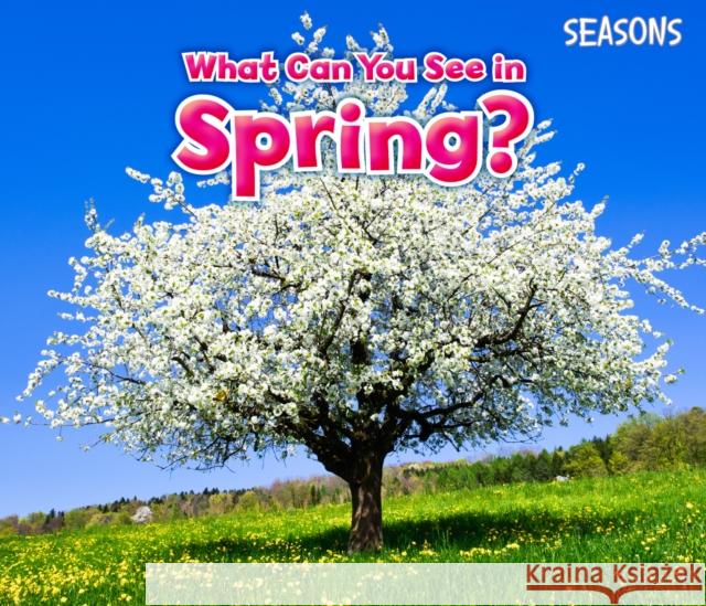 What Can You See In Spring? Sian Smith 9781406283273 Capstone Global Library Ltd