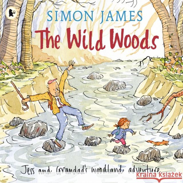 The Wild Woods Simon James 9781406308457