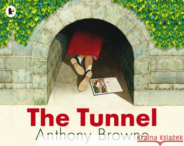 The Tunnel Anthony Browne 9781406313291