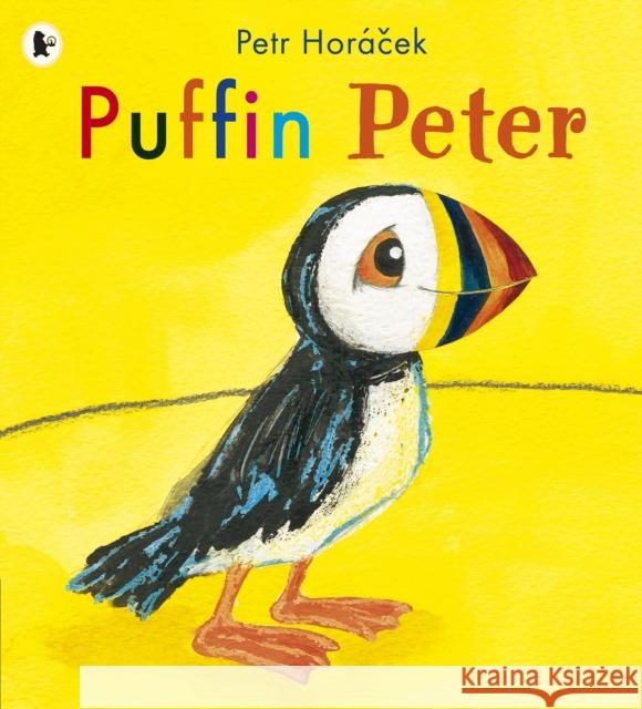 Puffin Peter Petr Horacek 9781406337761